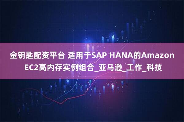 金钥匙配资平台 适用于SAP HANA的Amazon EC2高内存实例组合_亚马逊_工作_科技