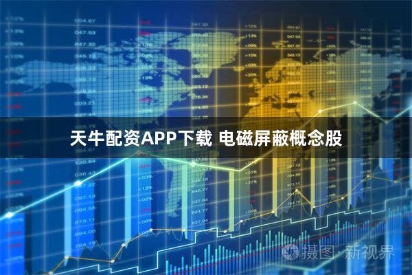 天牛配资APP下载 电磁屏蔽概念股