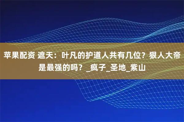 苹果配资 遮天：叶凡的护道人共有几位？狠人大帝是最强的吗？_疯子_圣地_紫山