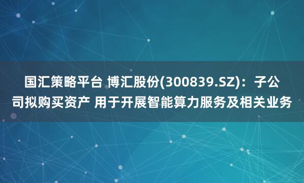 国汇策略平台 博汇股份(300839.SZ):子公司拟购买资产 用于开展智能算力服务及相关业务