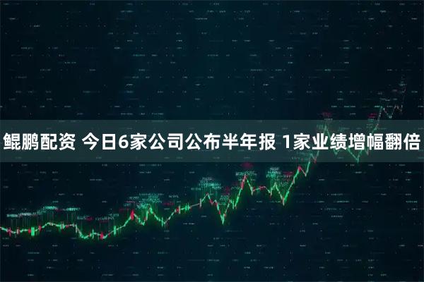鲲鹏配资 今日6家公司公布半年报 1家业绩增幅翻倍