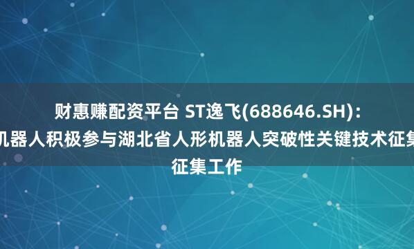 财惠赚配资平台 ST逸飞(688646.SH)：荆楚机器人积极参与湖北省人形机器人突破性关键技术征集工作