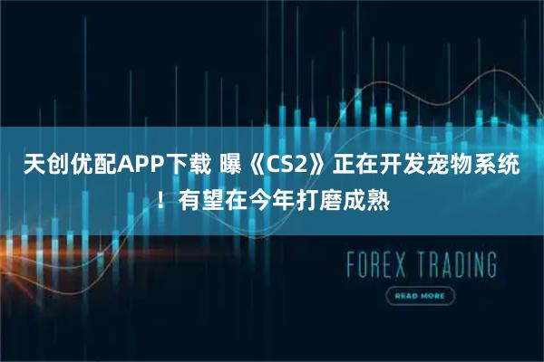 天创优配APP下载 曝《CS2》正在开发宠物系统!有望在今年打磨成熟